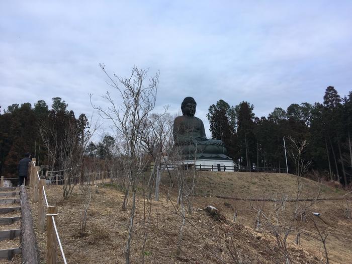 【西多摩・秋川】がおすすめ「東京にまだこんな素敵な場所があったなんて・・・」