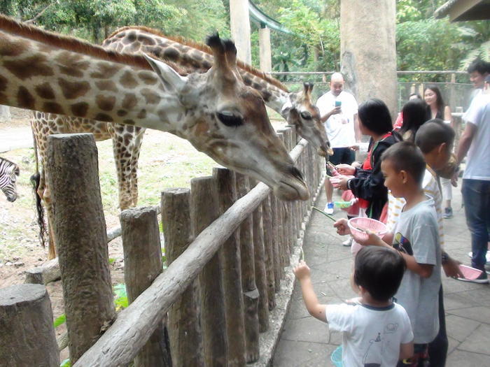 タイ・チェンマイ動物園でたくさんの動物と触れ合おう！