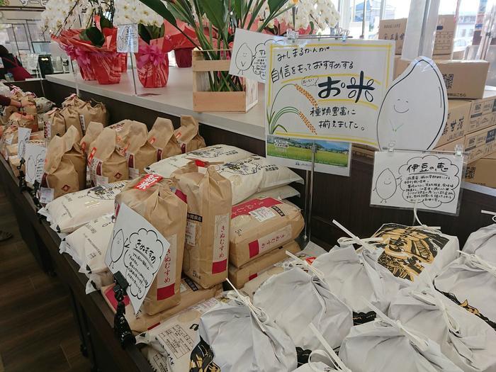 【静岡県】箱根西麓三島野菜を富士山を望む絶景の中で食べてきた