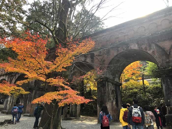 紅葉に食べられそう...秋の京都「南禅寺」と「永観堂」は素晴らしかった！