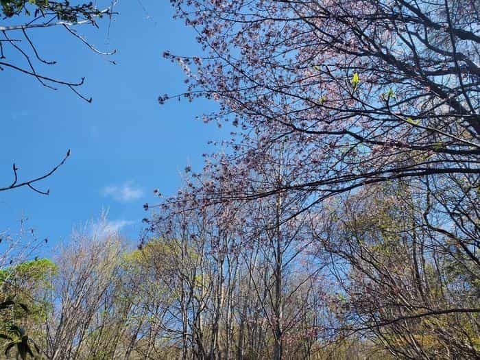 登山初心者でも大丈夫！『塩谷丸山』に登って来ました＾＾