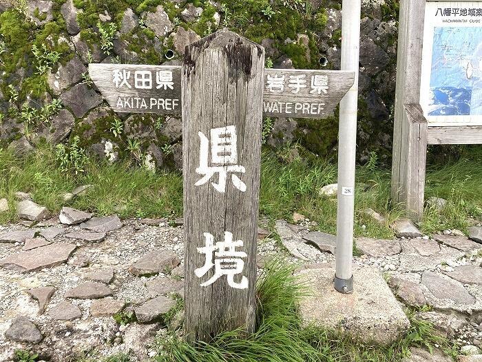 【岩手】広大な湿原に咲く高山植物を気軽に見に行ける！八幡平で涼しい空気に包まれながらトレッキング