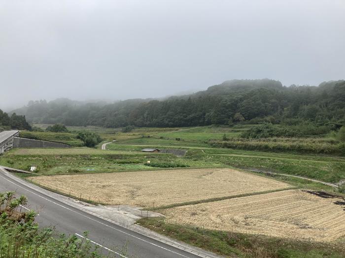 【七島藺（しちとうい）】大分の国東半島でしか作られない、未来に残すべき伝統工芸