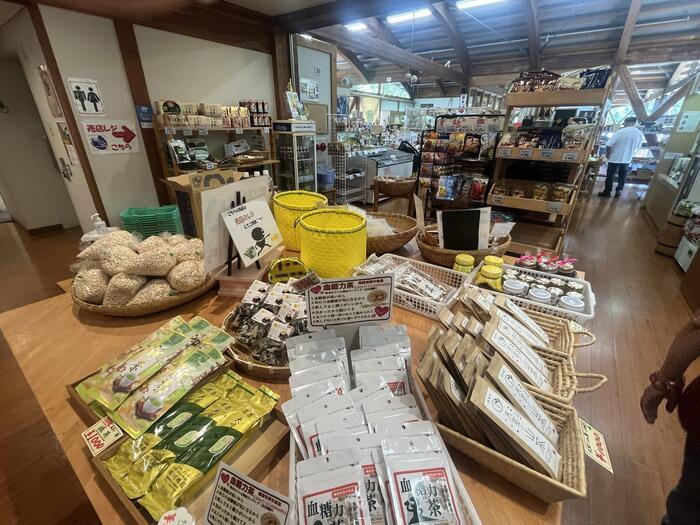 【徳島】日本三大秘境のひとつ四国のへそ付近にある大歩危と祖谷の見どころと名店を紹介