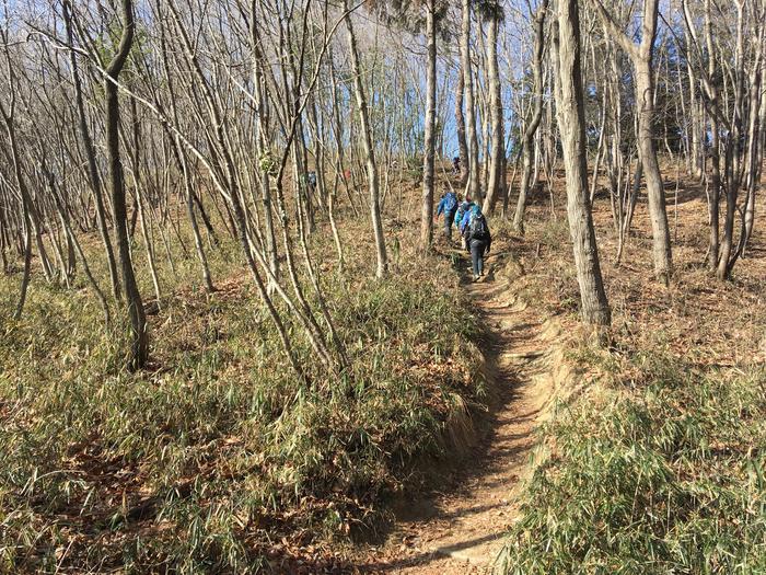 【冬の低山を楽しむ】お手軽な長瀞アルプスハイキング