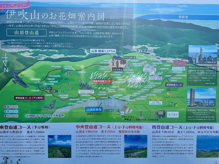 【日本百名山】25座目の伊吹山はヤマトタケルが見守る山岳信仰の山（滋賀県・岐阜県）