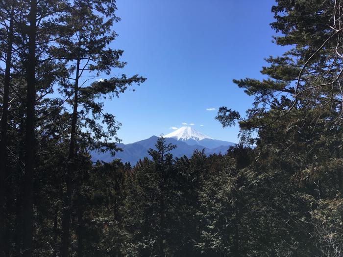 【冬の低山】秀麗富嶽十二景「九鬼山（970ｍ）」のおすすめポイント