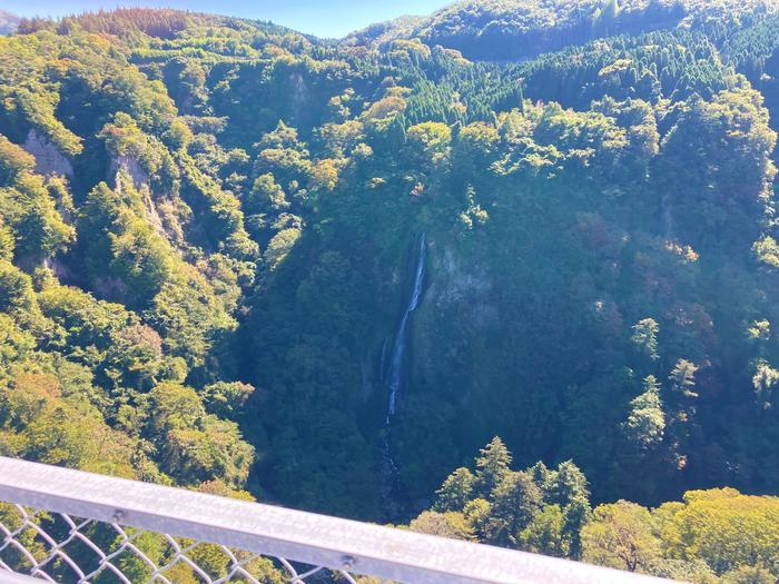 【大分】高さ日本一の吊り橋！九重「夢」大吊橋で名物ジビエバーガーをほおばる