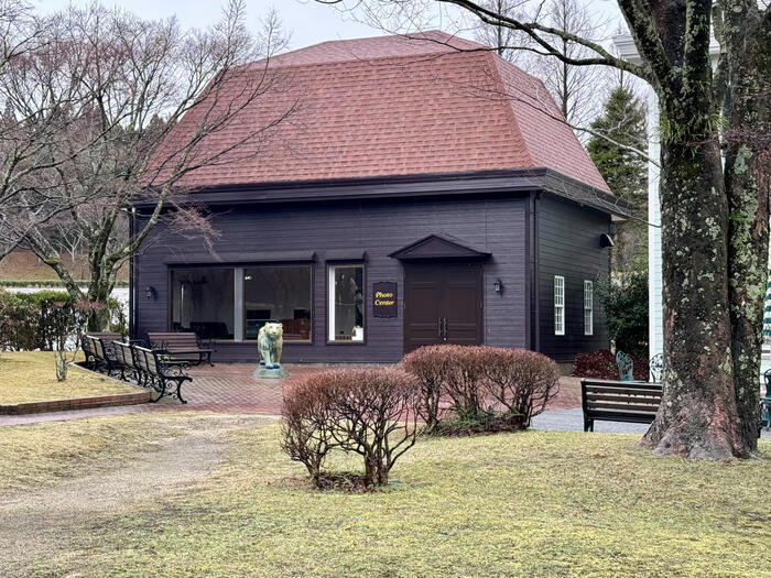 約48年ぶりの訪問！「九州自然動物公園アフリカンサファリ」園内レポート