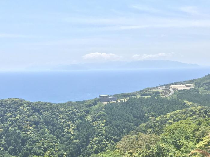 野生の馬が間近で見られる！御崎馬の親子に会いに、宮崎県串間市にある都井岬へ