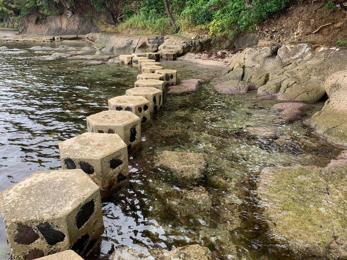 【石川県大周遊】能登半島大満喫の旅！