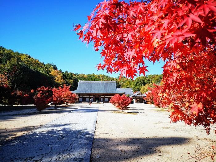 【広島県】思わず深呼吸したくなる町！神石高原町は たくさんの”おいしい●●”がある町だった。