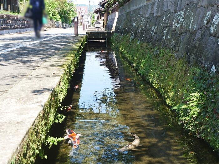 【宮崎】九州の小京都、飫肥（おび）の江戸情緒あふれる街並みを歩く