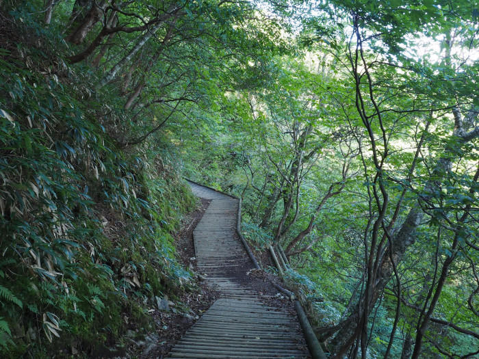 【愛媛県】西日本最高峰、紅葉の石鎚山と土小屋テラスの絶品ジビエコロッケを紹介♪