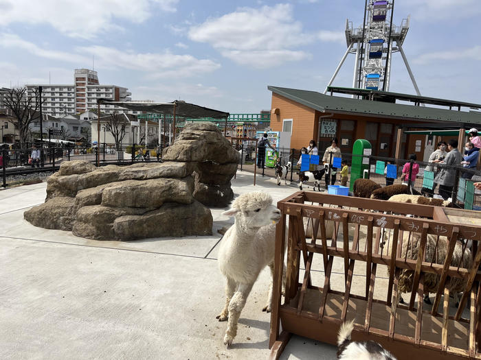 リニューアルオープン！あらかわ遊園のあれこれおすすめをご紹介