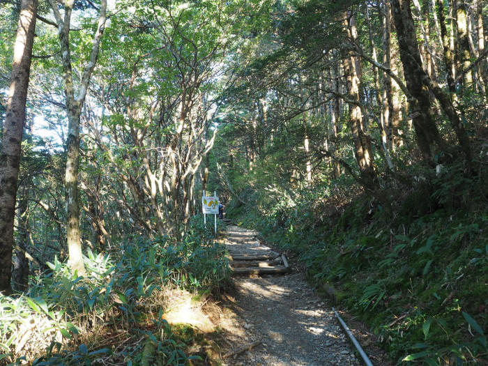 【愛媛県】西日本最高峰、紅葉の石鎚山と土小屋テラスの絶品ジビエコロッケを紹介♪