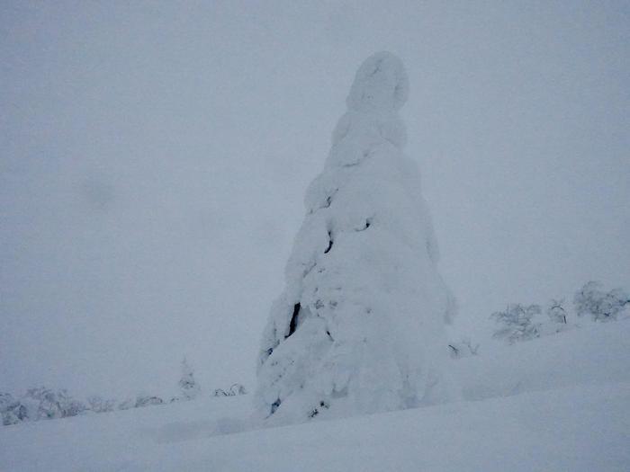 【秋田】日本三大樹氷「森吉山」で見上げる雪の造形美