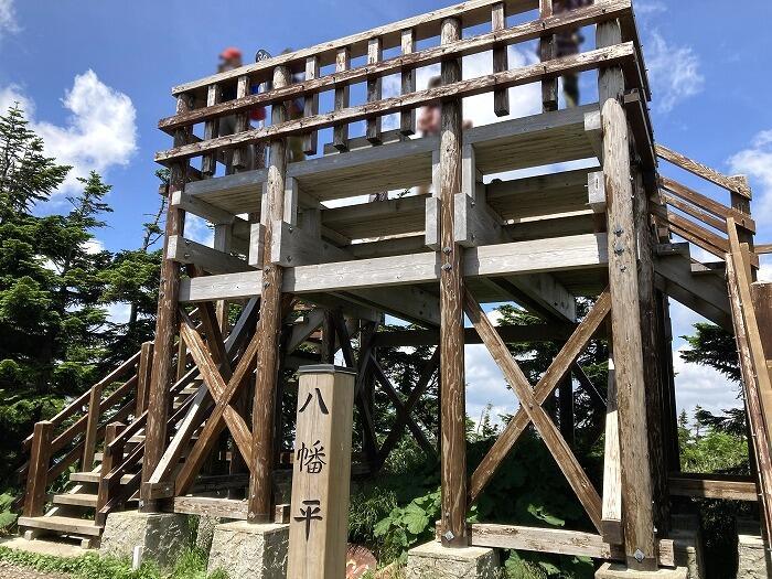 【岩手】広大な湿原に咲く高山植物を気軽に見に行ける！八幡平で涼しい空気に包まれながらトレッキング