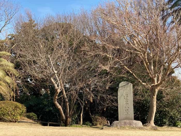 【逗子】披露山（ひろやま）公園で、ザ・湘南な絶景をどうぞ！