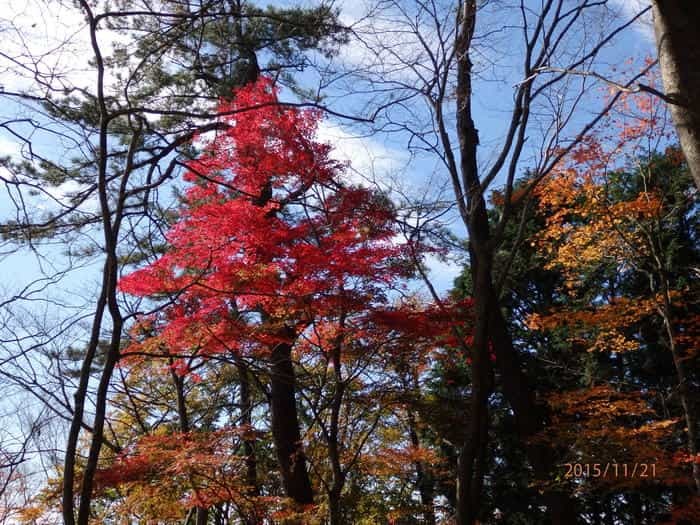 【日帰り登山】関東近郊の眺望絶佳『丹沢山地』を歩こう！