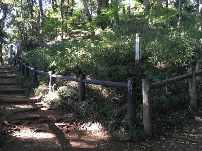 【埼玉県】飯能ハイキング・初心者向けコース（天覧山・多峯主山）