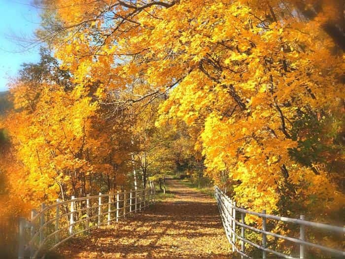 北海道立真駒内公園の紅葉ランで絶景を堪能しました