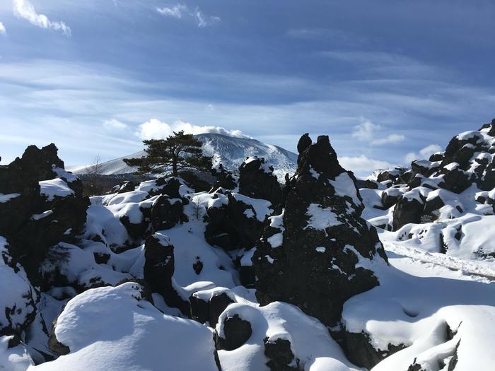 自然の絶景パノラマ！冬を感じる長野と群馬の旅