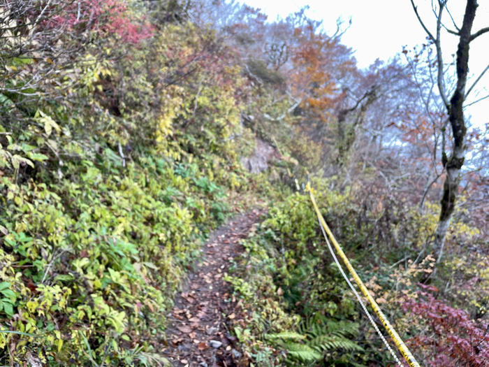 【島根】石見富士「三瓶山」のカルデラを大縦走！