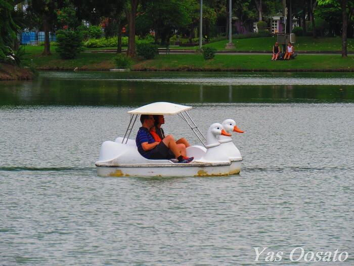 【タイ】驚異の遭遇率100%?!「ルンピニ公園のミズオオトカゲ」を見逃すな!