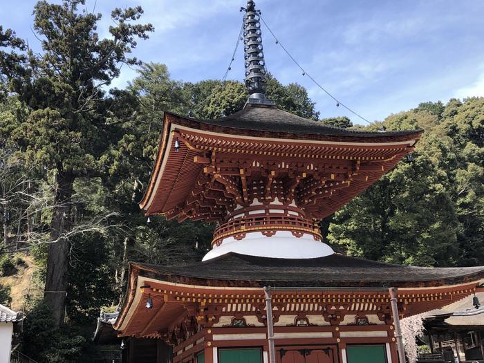 中世に出逢える町・河内長野の魅力をたっぷり紹介します!