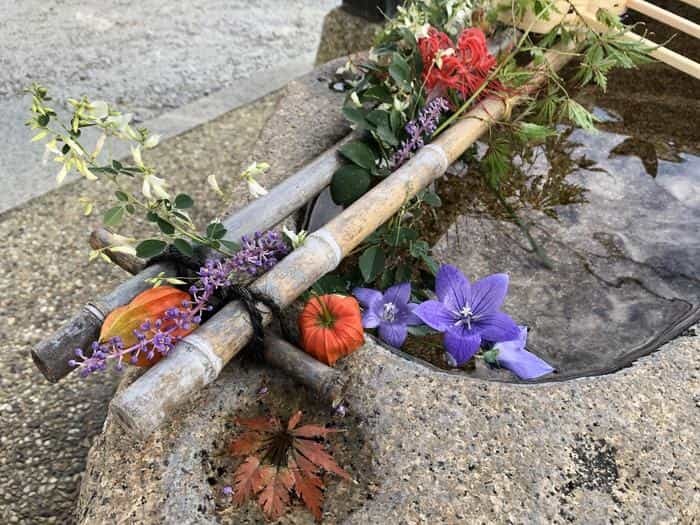 【兵庫県尼崎市】繊細で素敵な御朱印がいただける水堂須佐男神社