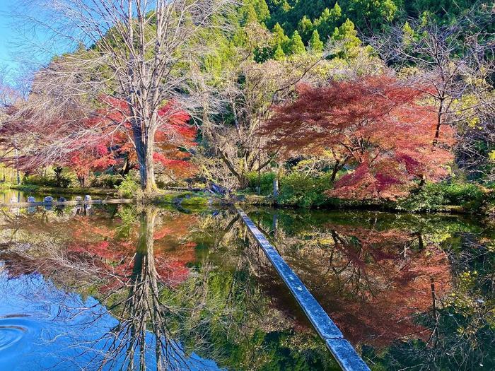 【静岡県浜松市】ワーケーションならここ！食も体験も出会いも大満足の浜松へようこそ！