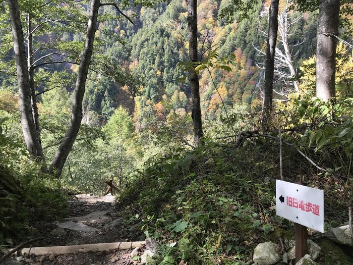 富山の黒部ダムを下から見よう！観光放水期間中に川床トレッキング