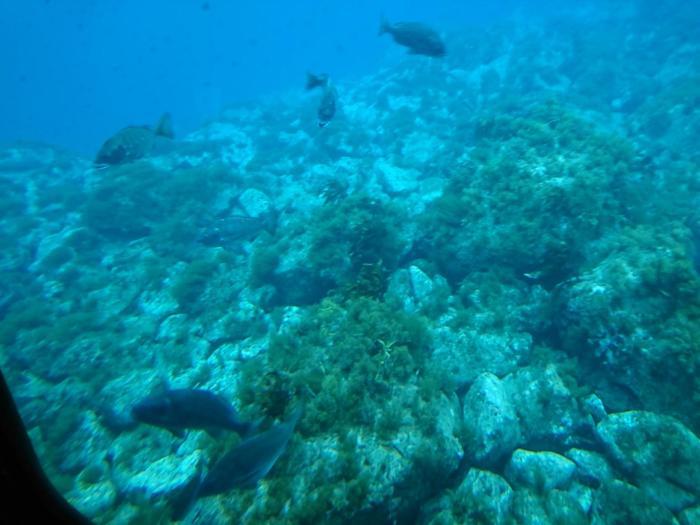 史跡と風景、伝説で知られるロマンチックな隠岐の島。その魅力とは？