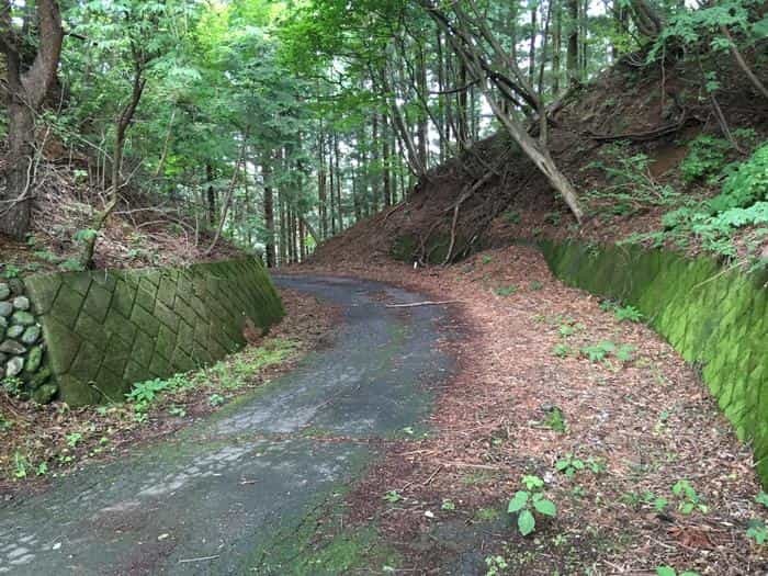 【奥武蔵で眺望の良い山】丸山・堂平山を縦走。最後に襲った悲劇とは・・・