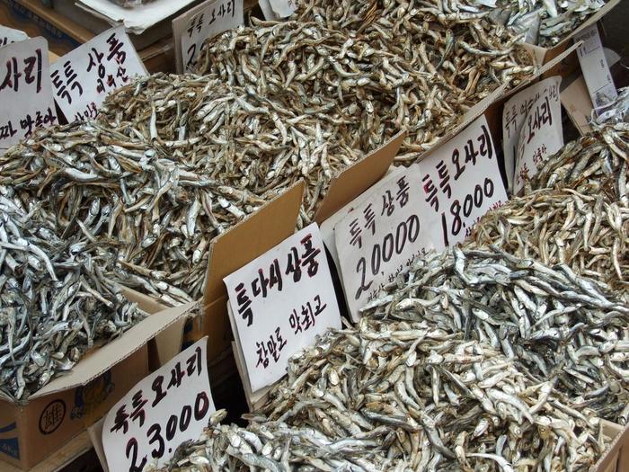 海外の安宿の探し方や魅力、泊まるときの注意点とは