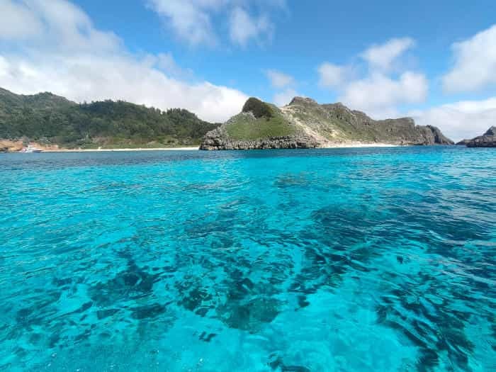 イルカやクジラに囲まれた日本の世界遺産・小笠原諸島