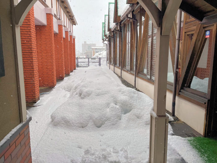 冬の長浜！大阪から日帰りで体験できる美しい雪景色を体験