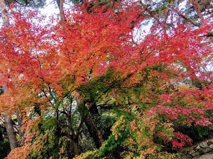 7日間で韓国の世界遺産を巡る旅！厳選スポット7選をご紹介します♪