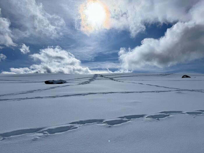 【日本百名山】15座目は美ヶ原（王ヶ頭）のパノラマコースを雪中ウォーキング（長野県）