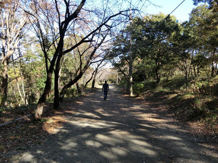 弘法山公園（弘法山）は初心者にも優しいお手軽ハイキングコース