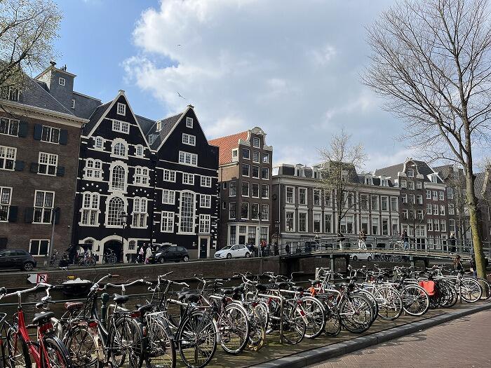 4月にオランダにチューリップを見に行こう!