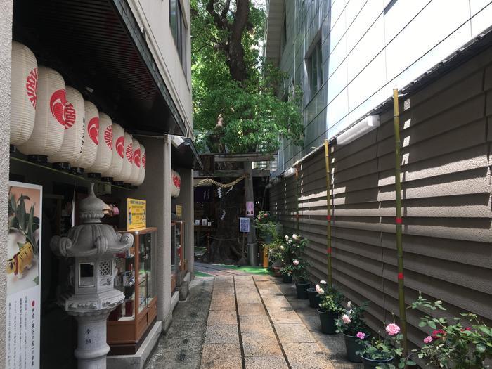 【大阪】こんな時こそ！疫病退散！少彦名神社へ行ってきました