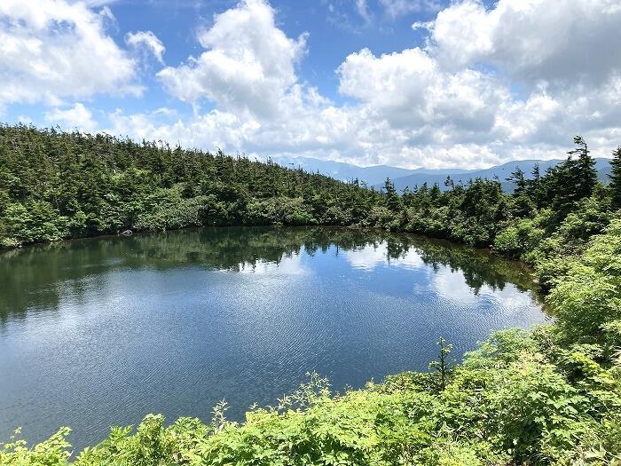 【岩手】広大な湿原に咲く高山植物を気軽に見に行ける！八幡平で涼しい空気に包まれながらトレッキング