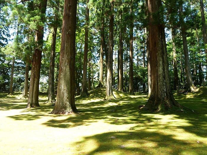 【宮崎】九州の小京都、飫肥（おび）の江戸情緒あふれる街並みを歩く