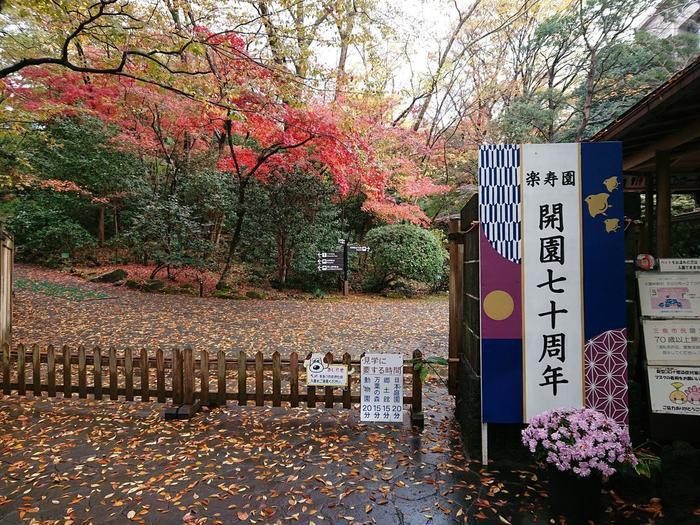 【静岡県】箱根西麓三島野菜を富士山を望む絶景の中で食べてきた