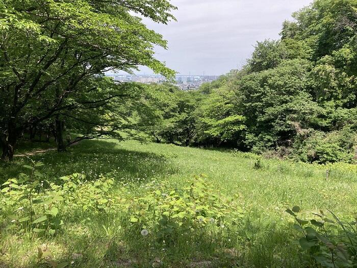 【八王子】とても公園とは思えない、しっかり山歩きを楽しめる「長沼公園」を歩く