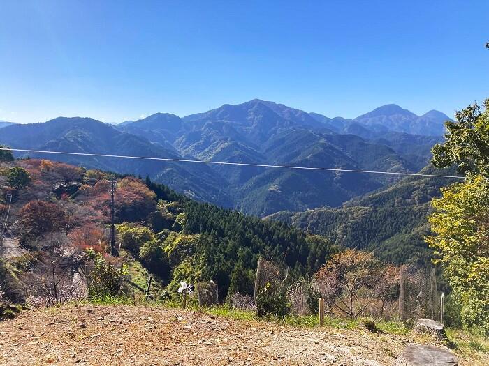 【群馬・藤岡】紅葉と桜を一度に楽しめる桜山公園とみかん狩りと藍染体験