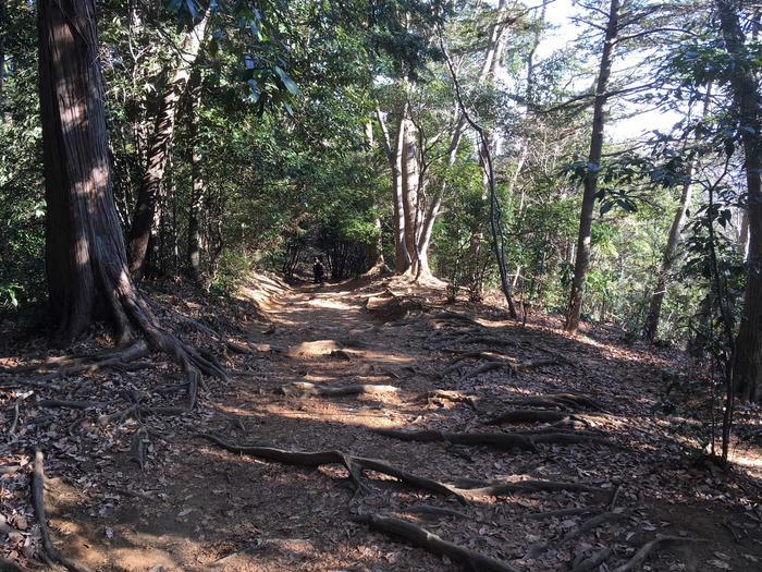 【山登り道】冬山にはなぜ魅力があるのか？＜景信山～城山～高尾山編＞