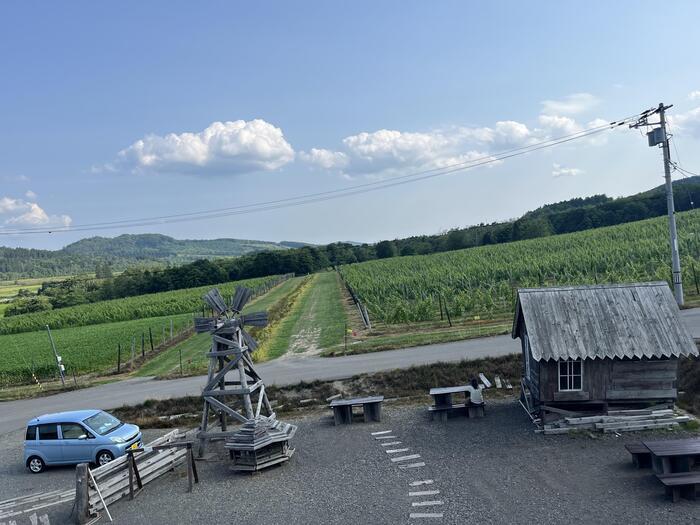 野菜や果物から始まる野菜ソムリエ的旅の組み立て方～ハスカップ北海道厚真町の旅